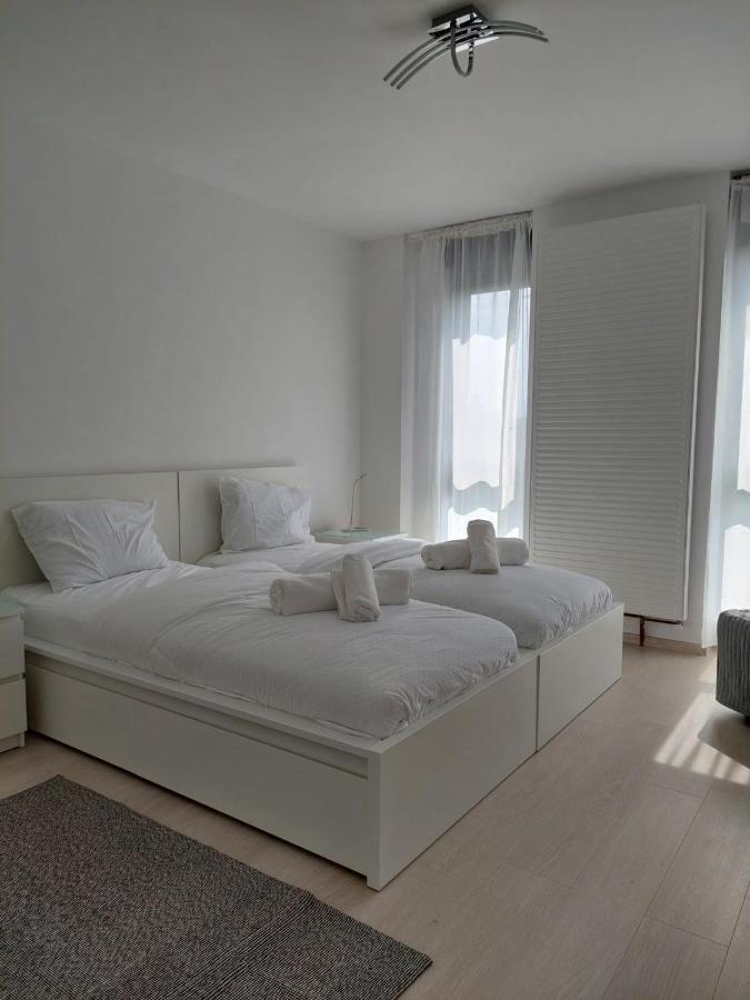 Casa Maria City Apartments Timişoara Buitenkant foto